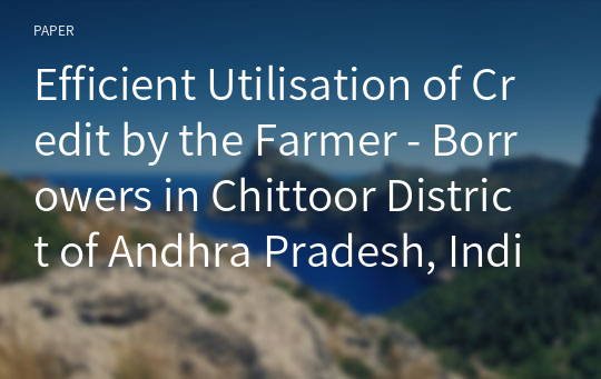 Efficient Utilisation of Credit by the Farmer - Borrowers in Chittoor District of Andhra Pradesh, India - Data Envelopment Analysis Approach