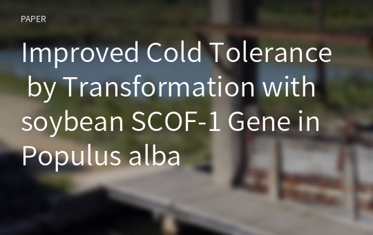 Improved Cold Tolerance by Transformation with soybean SCOF-1 Gene in Populus alba