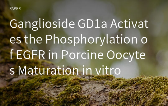 Ganglioside GD1a Activates the Phosphorylation of EGFR in Porcine Oocytes Maturation in vitro