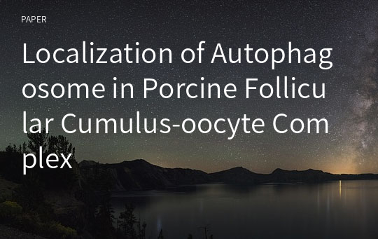 Localization of Autophagosome in Porcine Follicular Cumulus-oocyte Complex