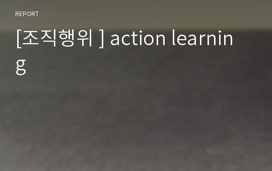 [조직행위 ] action learning