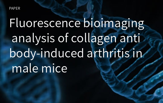 Fluorescence bioimaging analysis of collagen antibody-induced arthritis in male mice