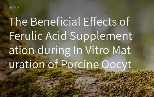 The Beneficial Effects of Ferulic Acid Supplementation during In Vitro Maturation of Porcine Oocytes on Their Parthenogenetic Developmenta