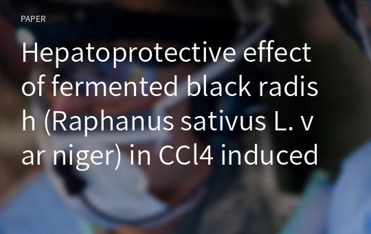 Hepatoprotective effect of fermented black radish (Raphanus sativus L. var niger) in CCl4 induced liver injury in rats