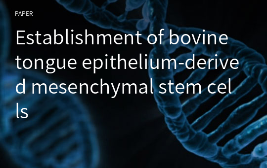 Establishment of bovine tongue epithelium-derived mesenchymal stem cells