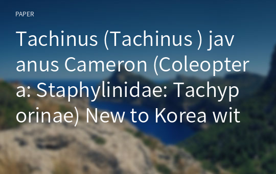 Tachinus (Tachinus ) javanus Cameron (Coleoptera: Staphylinidae: Tachyporinae) New to Korea with a Key to the Known Species of the Genus Tachinus Gravenhorst