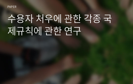 수용자 처우에 관한 각종 국제규칙에 관한 연구