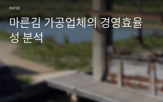 마른김 가공업체의 경영효율성 분석