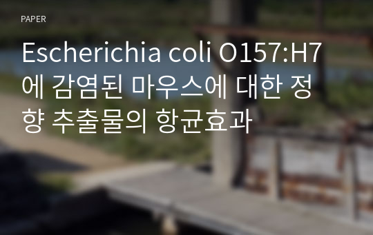 Escherichia coli O157:H7에 감염된 마우스에 대한 정향 추출물의 항균효과