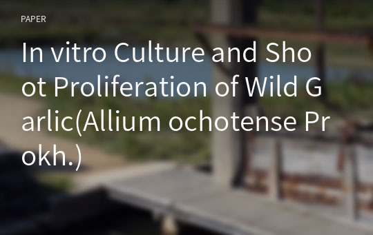 In vitro Culture and Shoot Proliferation of Wild Garlic(Allium ochotense Prokh.)