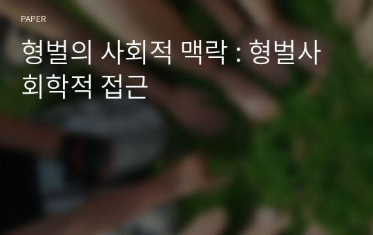 형벌의 사회적 맥락 : 형벌사회학적 접근