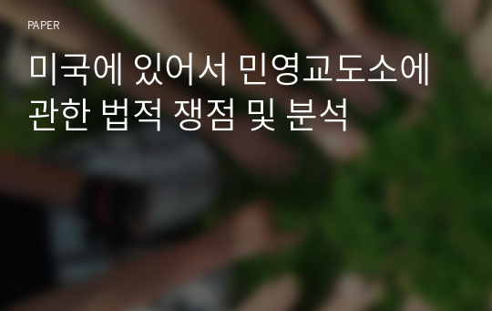 미국에 있어서 민영교도소에 관한 법적 쟁점 및 분석