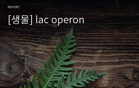 [생물] lac operon