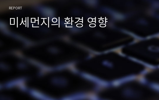 미세먼지의 환경 영향