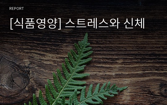 [식품영양] 스트레스와 신체