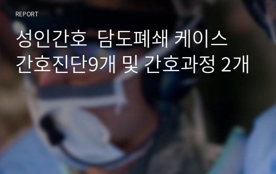 성인간호  담도폐쇄 케이스 간호진단9개 및 간호과정 2개