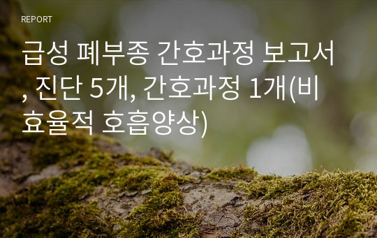 [A+자료] 급성 폐부종 간호과정 보고서, 진단 5개, 간호과정 1개(비효율적 호흡양상)