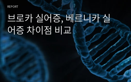 브로카 실어증, 베르니카 실어증 차이점 비교