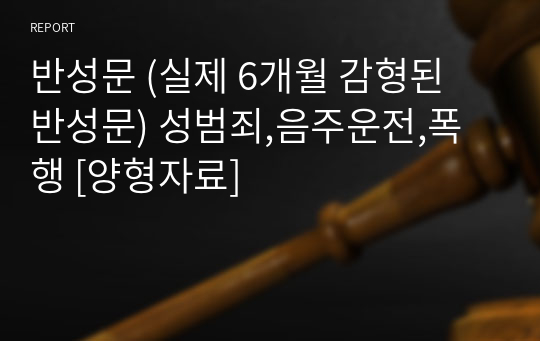 반성문 (실제 6개월 감형된 반성문) 성범죄,음주운전,폭행 [양형자료]