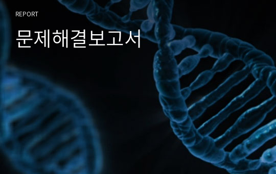 문제해결보고서