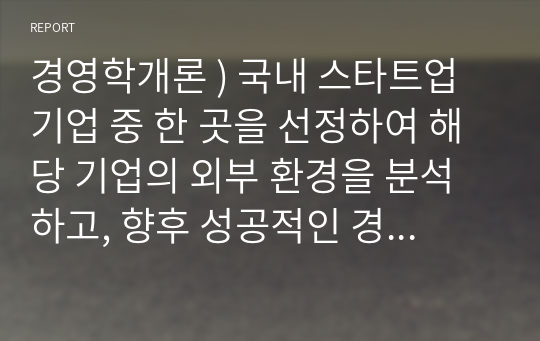 경영학개론 ) 국내 스타트업 기업 중 한 곳을 선정하여 해당 기업의 외부 환경을 분석하고, 향후 성공적인 경영을 하기 위한 개선방안을 제시하시오.