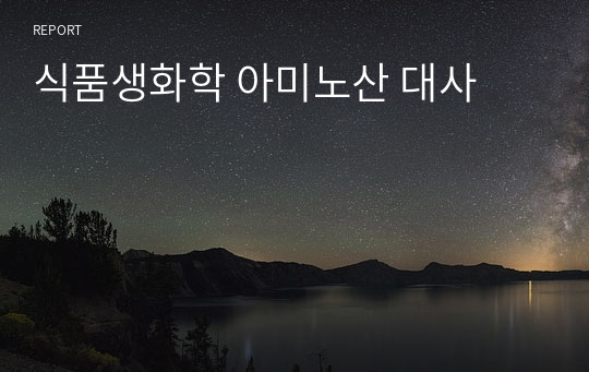 식품생화학 아미노산 대사