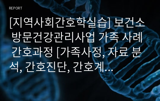 [실습케이스] 보건소 방문건강관리사업 가족 사례 간호과정 [가족사정, 자료 분석, 간호진단, 간호계획, 수행 및 평가, Case, 케이스스터디] [보건소 케이스, 방문건강관리사업 케이스, 가족 사례 케이스, 보건소 간호과정, 방문건강관리사업 간호과정, 가족 사례 간호과정]