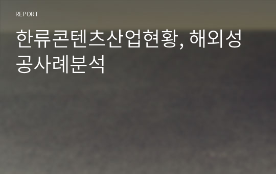 한류콘텐츠산업현황, 해외성공사례분석