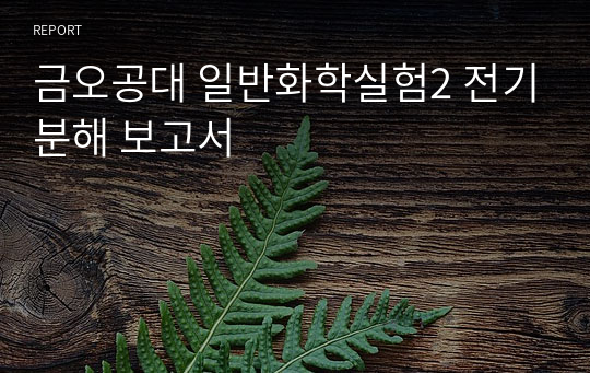 금오공대 일반화학실험2 전기분해 보고서