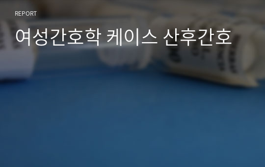 여성간호학 케이스 산후간호