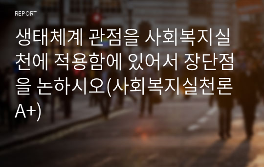 생태체계 관점을 사회복지실천에 적용함에 있어서 장단점을 논하시오(사회복지실천론 A+)