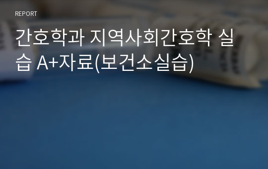 간호학과 지역사회간호학 실습 A+자료(보건소실습)