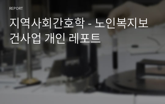 지역사회간호학 - 노인복지보건사업 개인 레포트