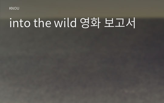 into the wild 영화 보고서