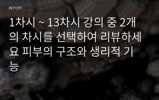 1차시 ~ 13차시 강의 중 2개의 차시를 선택하여 리뷰하세요 피부의 구조와 생리적 기능