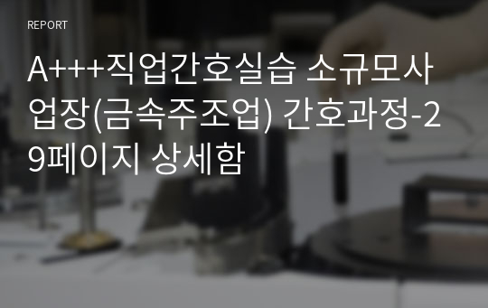 A+++직업간호실습 소규모사업장(금속주조업) 간호과정-29페이지 상세함