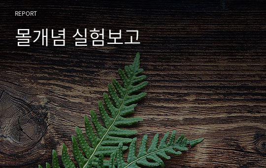 몰개념 실험보고