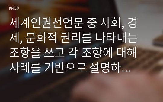 세계인권선언문 중 사회, 경제, 문화적 권리를 나타내는 조항을 쓰고 각 조항에 대해 사례를 기반으로 설명하시오.