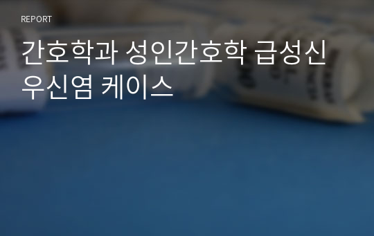 간호학과 성인간호학 급성신우신염 케이스