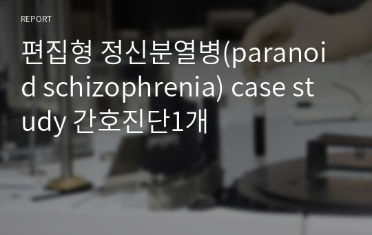 편집형 정신분열병(paranoid schizophrenia) case study 간호진단1개