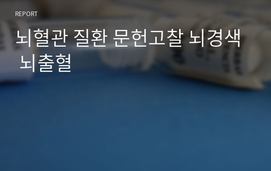 뇌혈관 질환 문헌고찰 뇌경색 뇌출혈