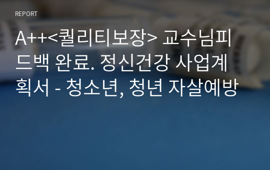 A++&lt;퀄리티보장&gt; 교수님피드백 완료. 정신건강 사업계획서 - 청소년, 청년 자살예방