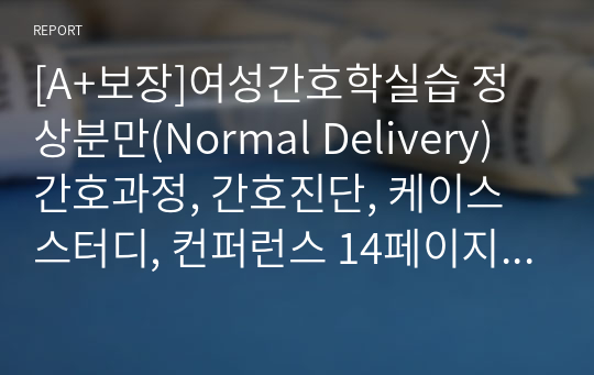 [A+보장]여성간호학실습 정상분만(Normal Delivery) 간호과정, 간호진단, 케이스스터디, 컨퍼런스 14페이지 자료입니다.