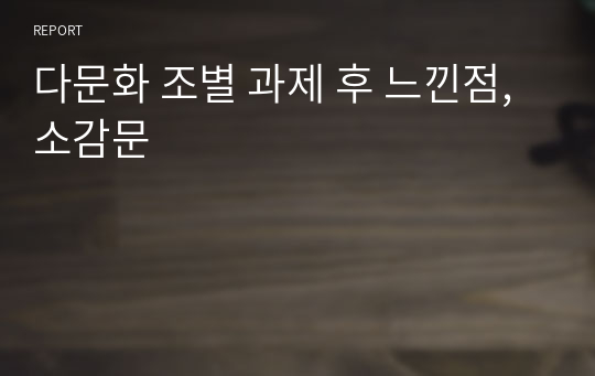 다문화 조별 과제 후 느낀점, 소감문