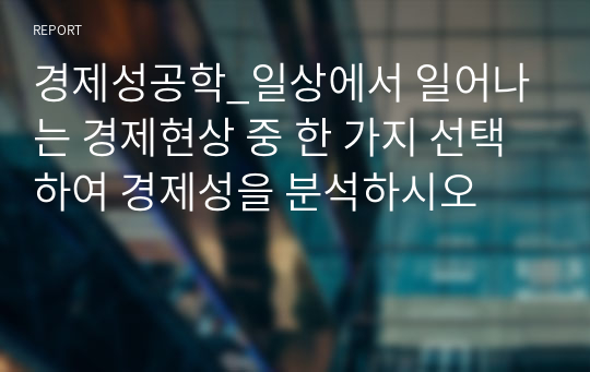 경제성공학_일상에서 일어나는 경제현상 중 한 가지 선택하여 경제성을 분석하시오