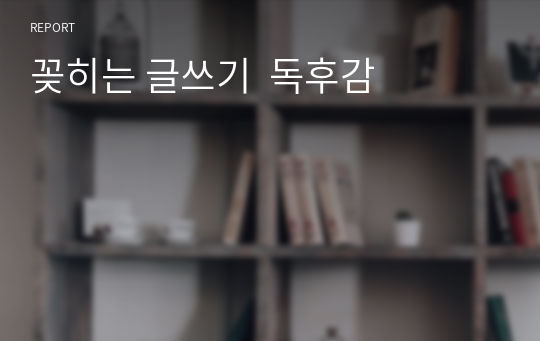 꽂히는 글쓰기  독후감