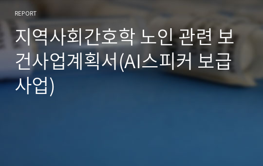 지역사회간호학 노인 관련 보건사업계획서(AI스피커 보급 사업)