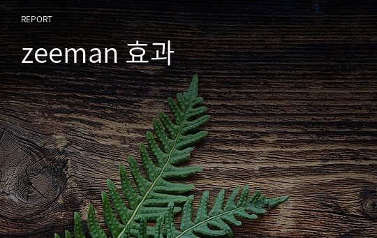 zeeman 효과