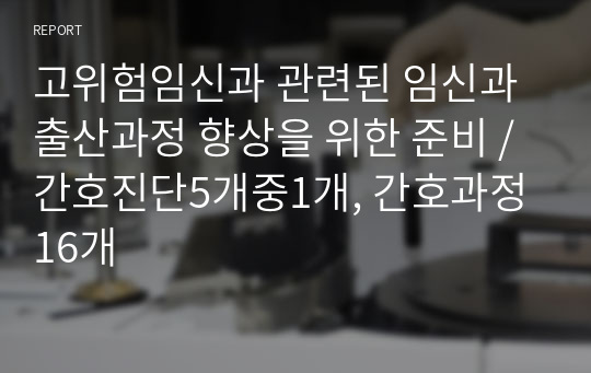 고위험임신과 관련된 임신과 출산과정 향상을 위한 준비 / 간호진단5개중1개, 간호과정16개