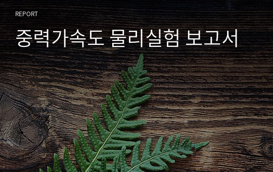 중력가속도 물리실험 보고서